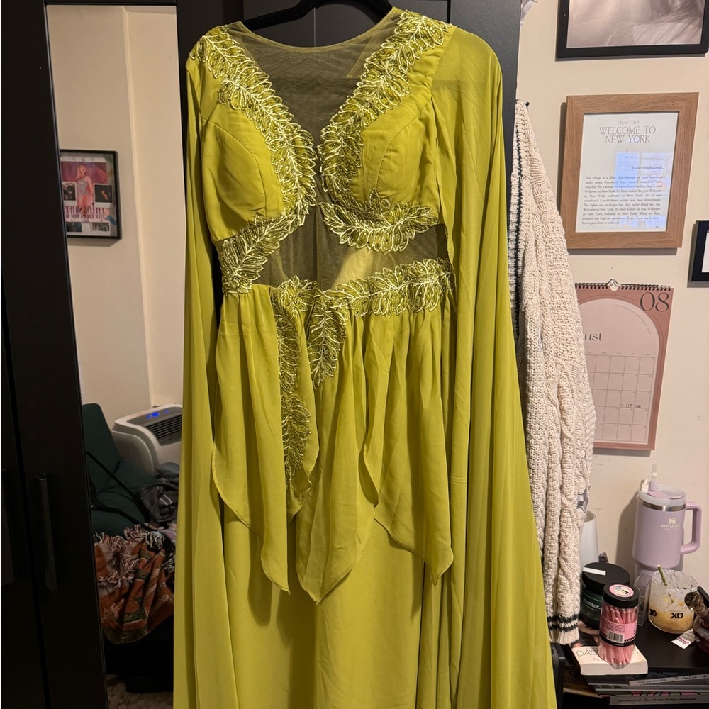Taylor Swift Green Folklore dress